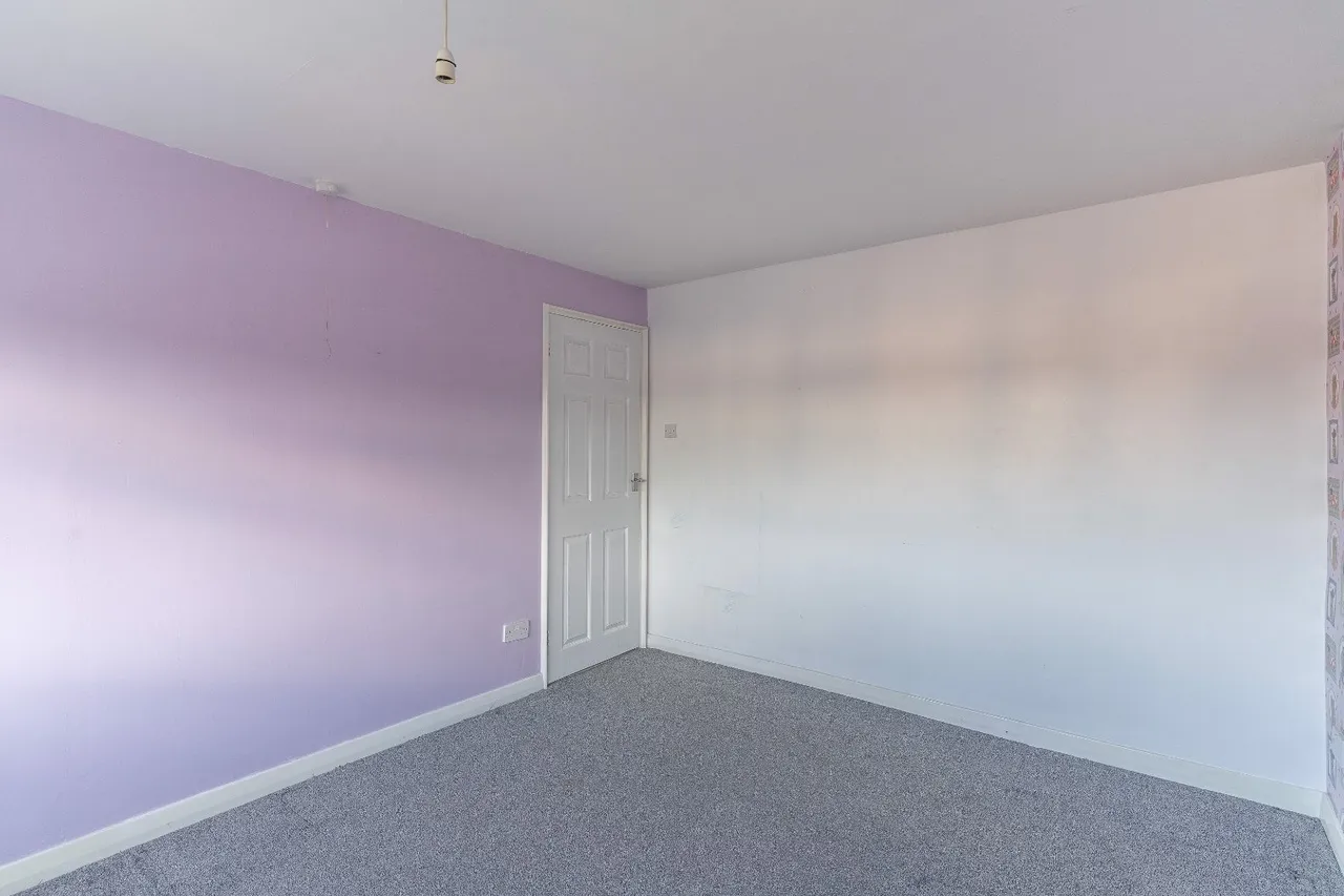 Teme Avenue, TF1, photo 12