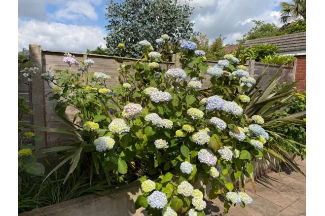 Quakerfields, Westhoughton, BL5, photo 11