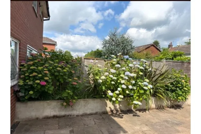 Quakerfields, Westhoughton, BL5, photo 2