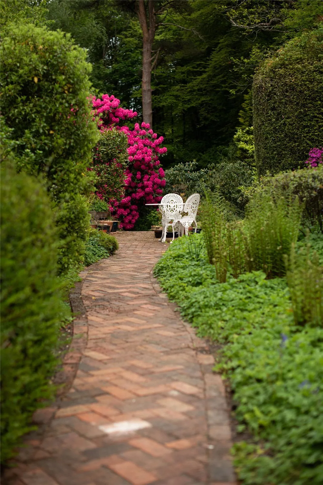 Sheephouse Lane, Abinger Common, RH5, photo 24