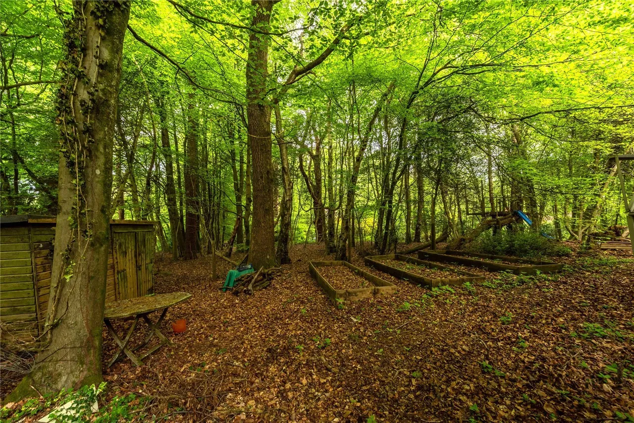 Sheephouse Lane, Abinger Common, RH5, photo 23