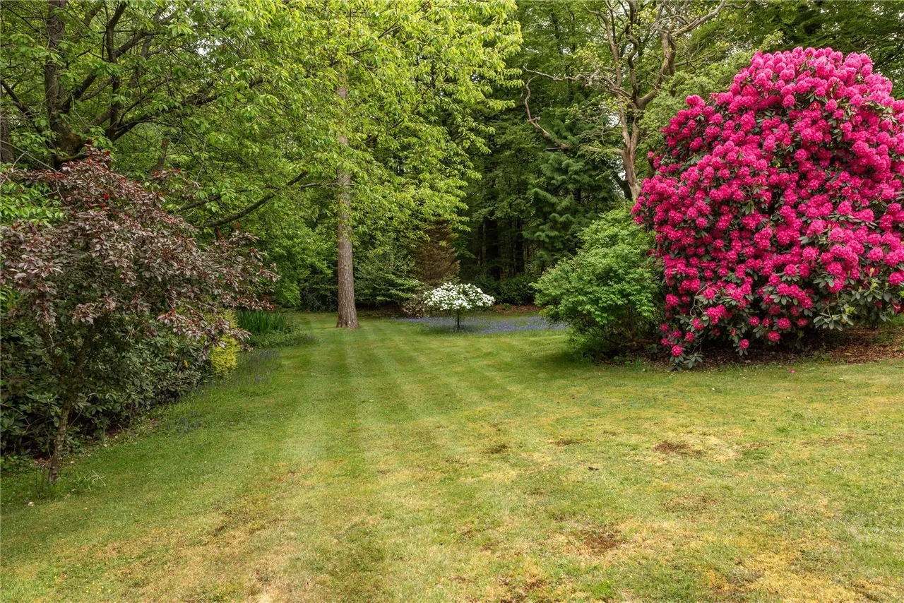 Sheephouse Lane, Abinger Common, RH5, photo 15