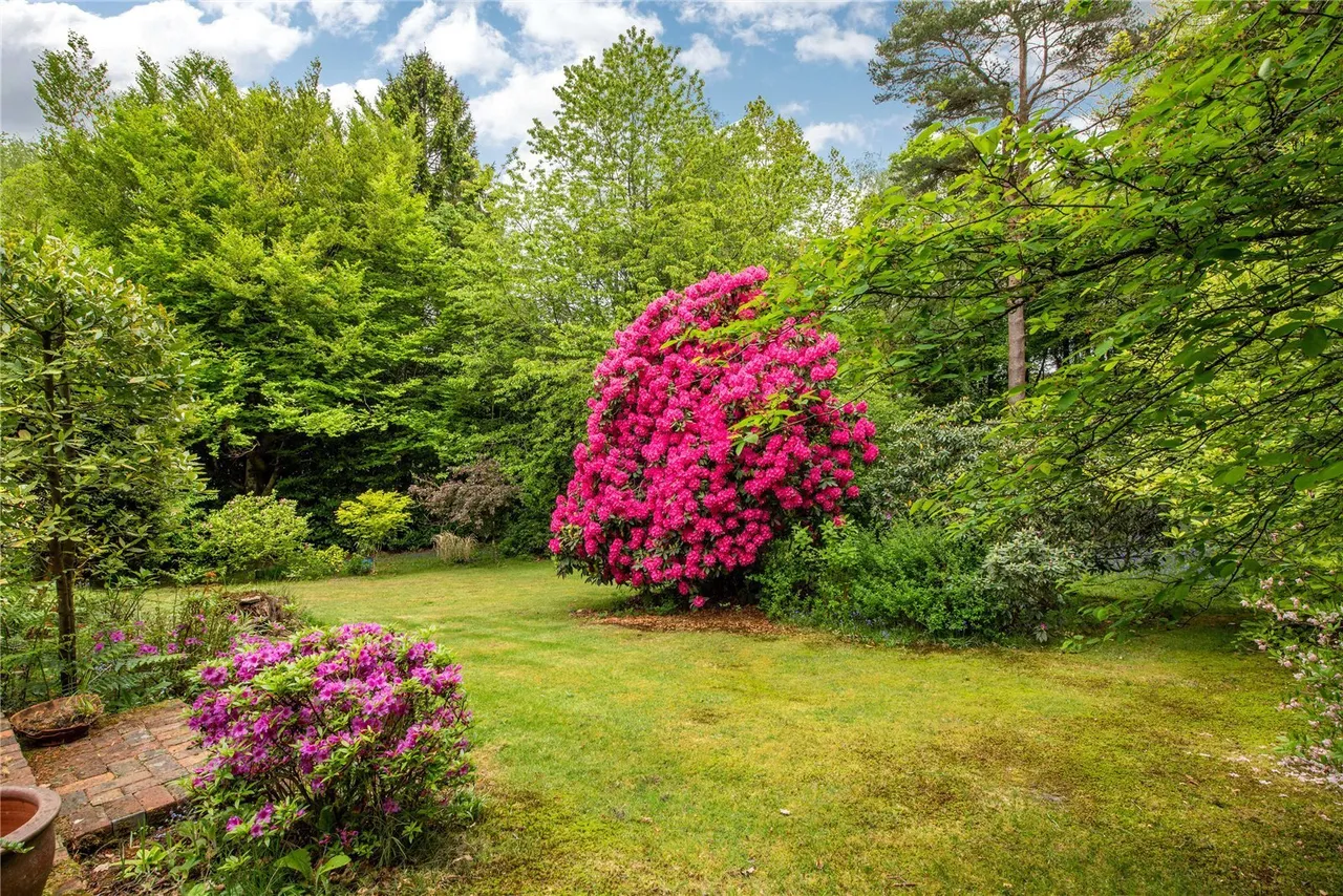 Sheephouse Lane, Abinger Common, RH5, photo 12