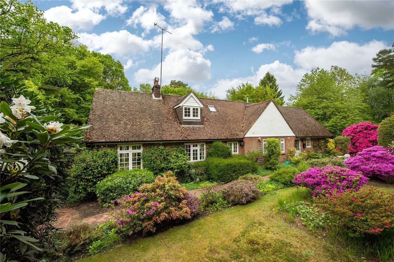 Sheephouse Lane, Abinger Common, RH5, photo 20
