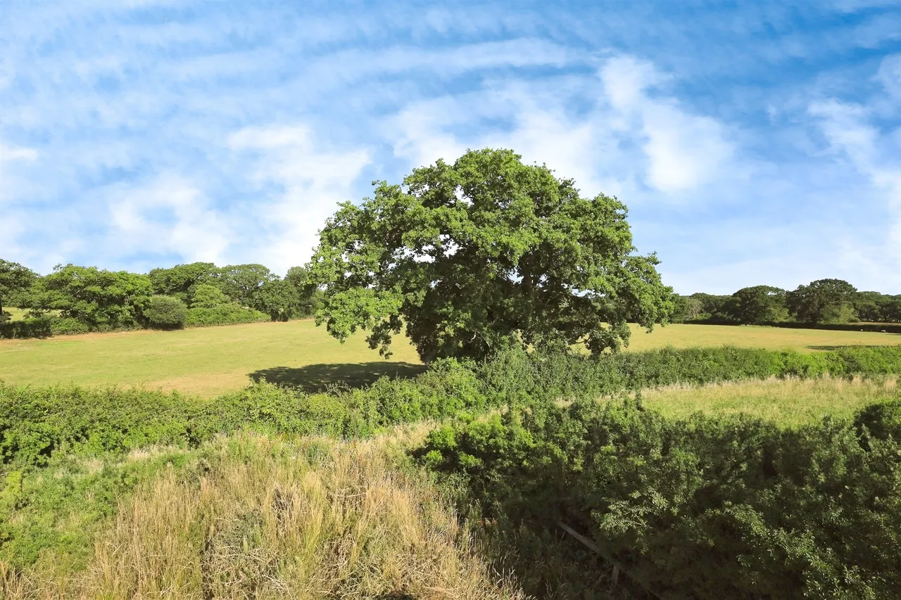 The Paddock, Upper Dicker, Hailsham, photo 9