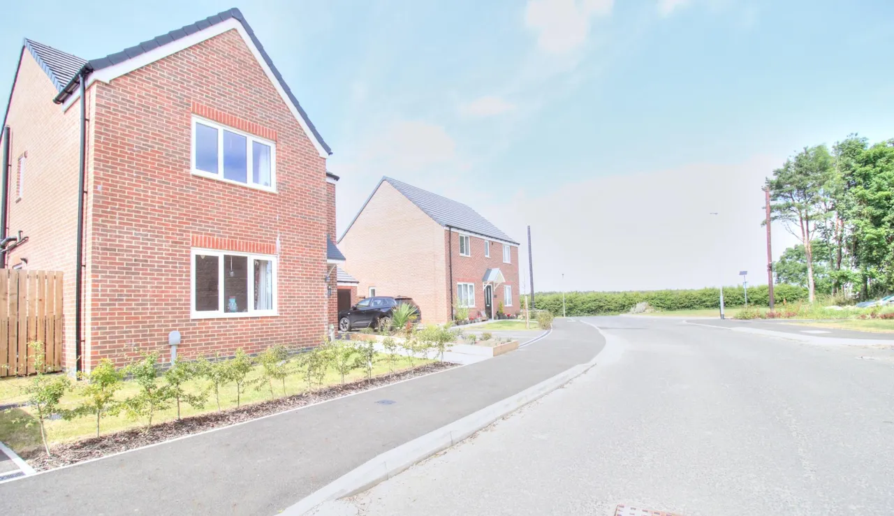Togston Park, Morpeth, NE65, photo 46