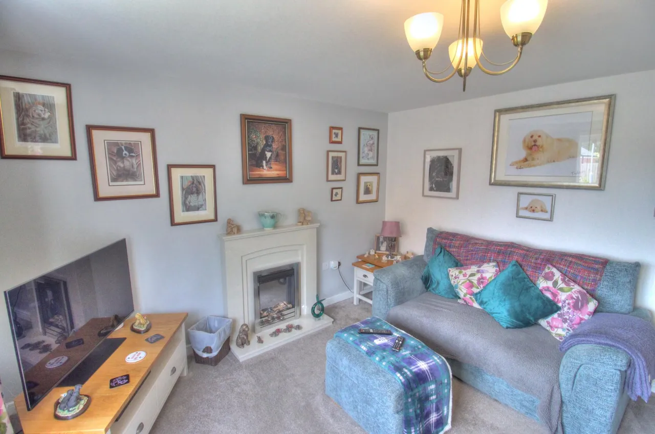 Togston Park, Morpeth, NE65, photo 4
