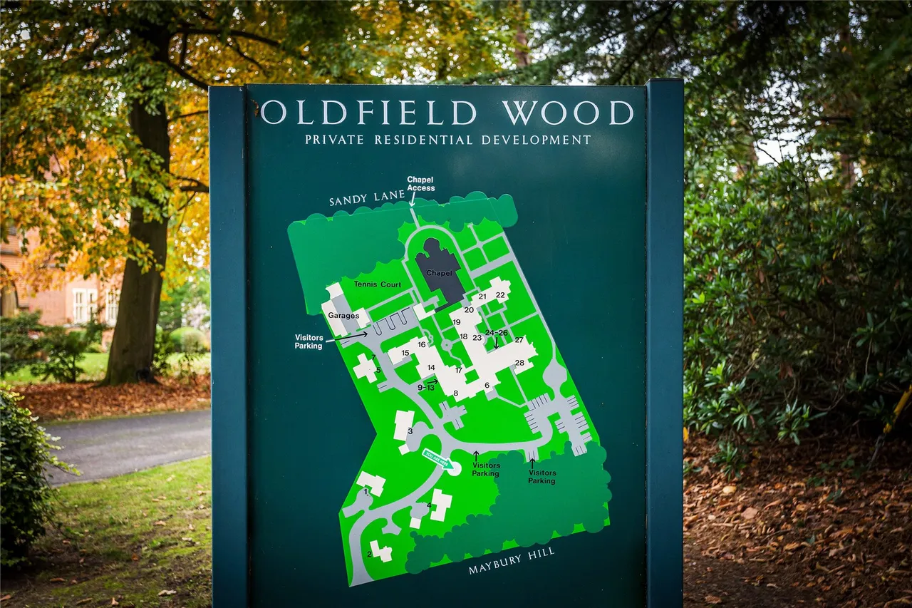 Oldfield Wood, Maybury Hill, GU22, photo 41