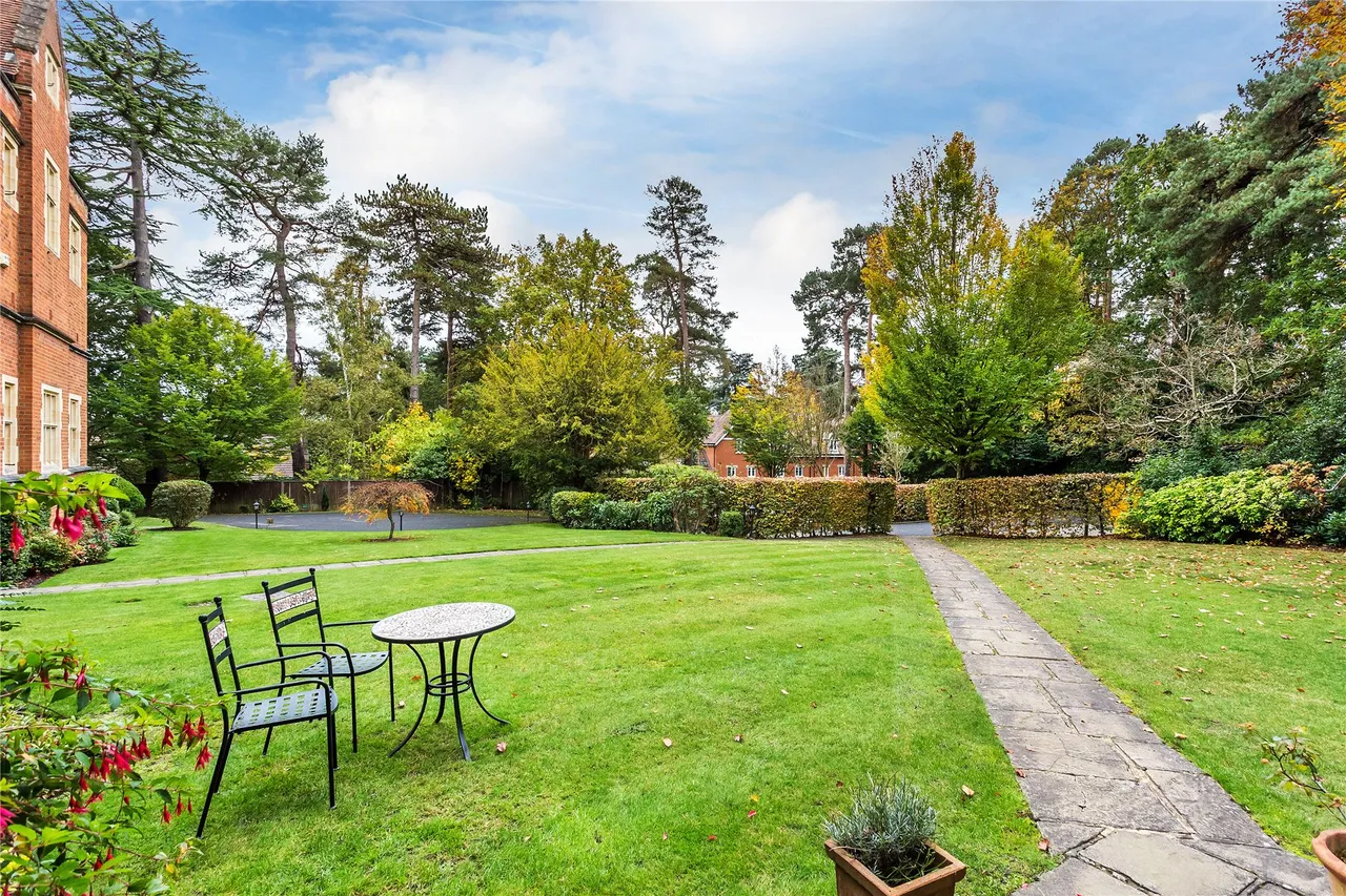 Oldfield Wood, Maybury Hill, GU22, photo 22