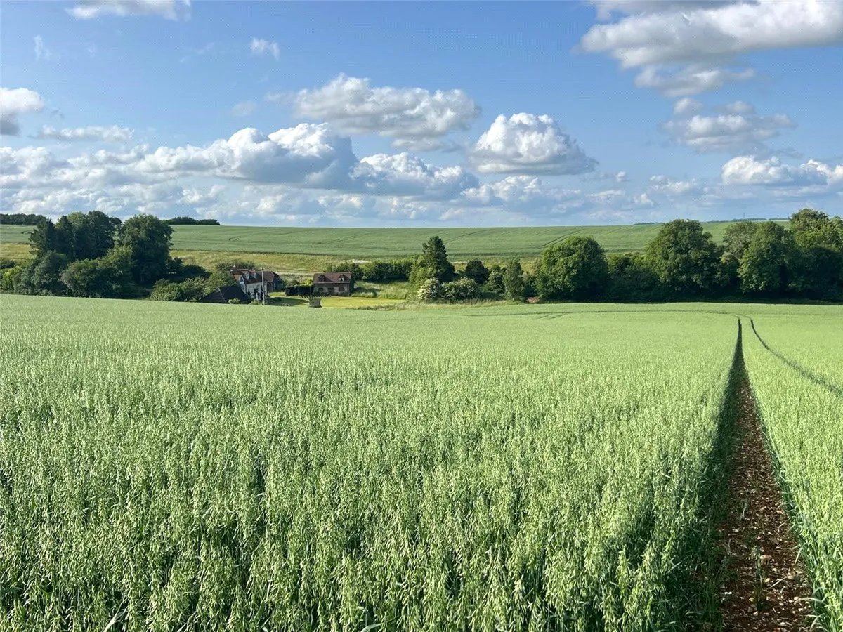 Lambourn Woodlands, Hungerford, RG17, photo 14