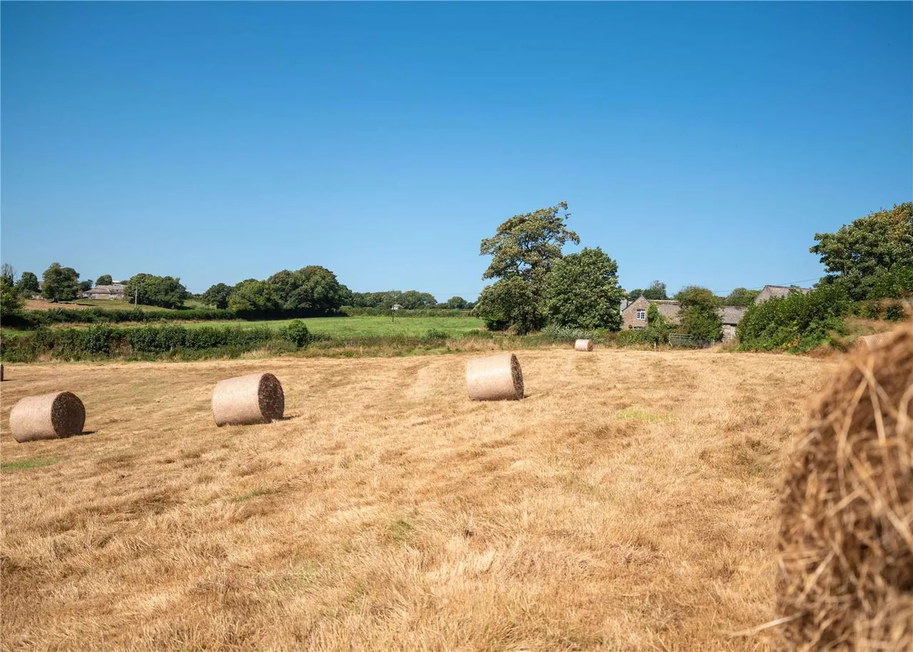 Liskeard, PL14, photo 22