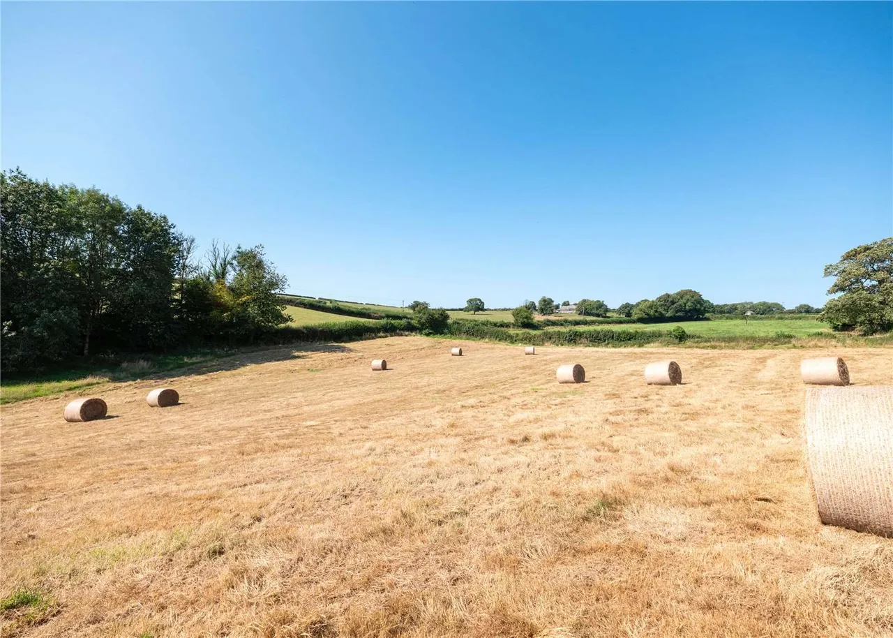 Liskeard, PL14, photo 20