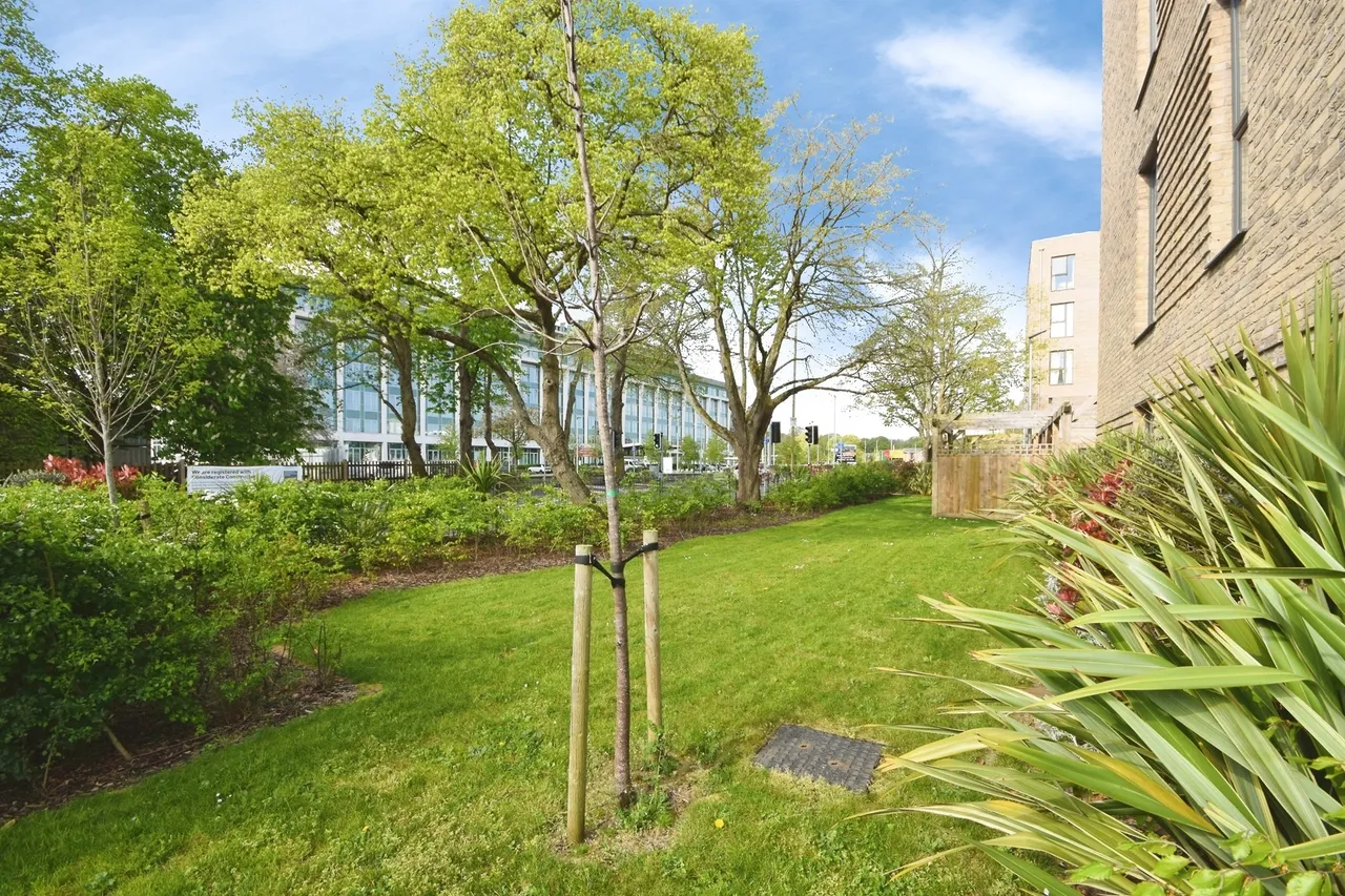 Peregrine Drive, Great Warley, CM13, photo 15