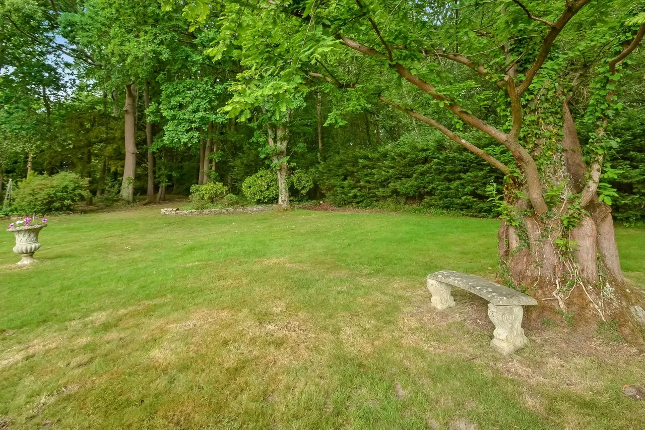 Hambledon, Hampshire, photo 21