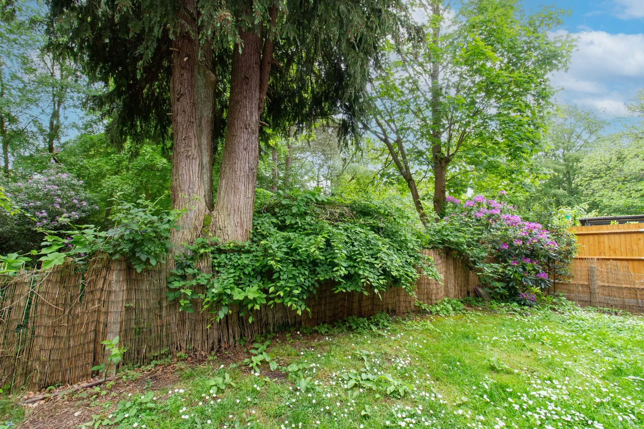 Elvetham Place, Fleet, GU51 4HJ, photo 4