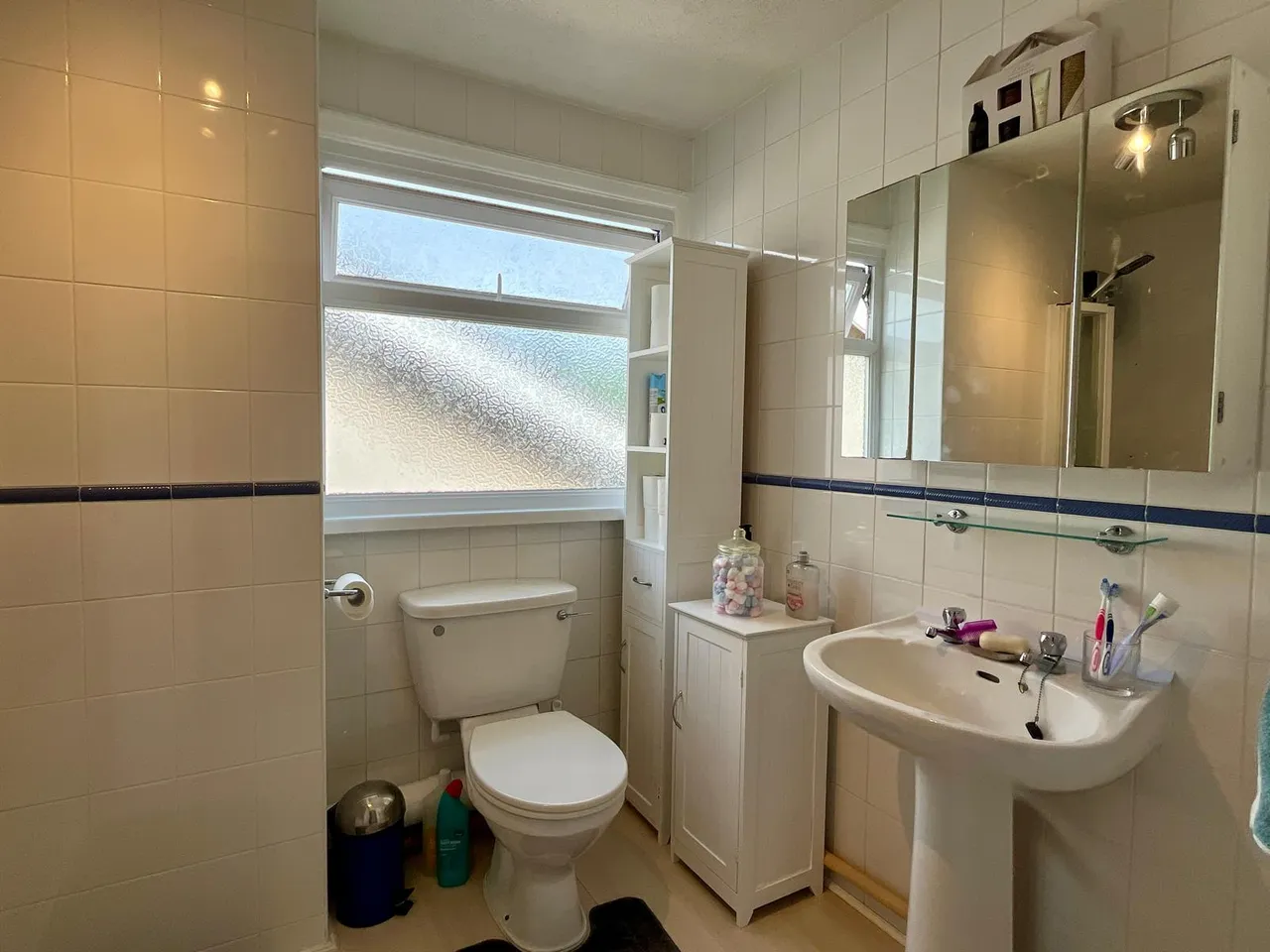 Sketty Park Drive, Sketty, SA2, photo 21