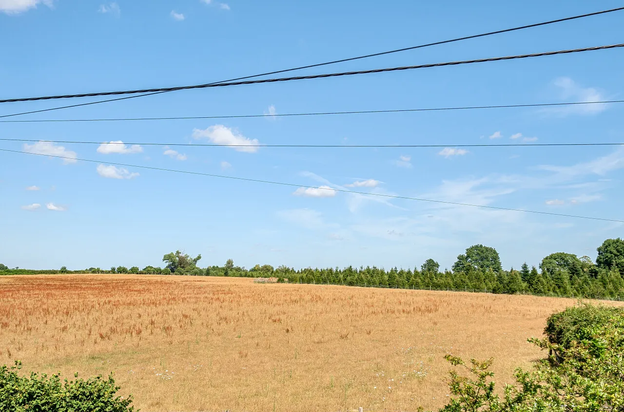 Crittenden Road, Matfield, TN12, photo 24