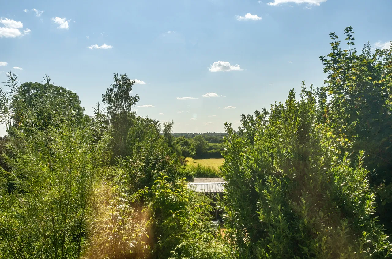 Crittenden Road, Matfield, TN12, photo 23