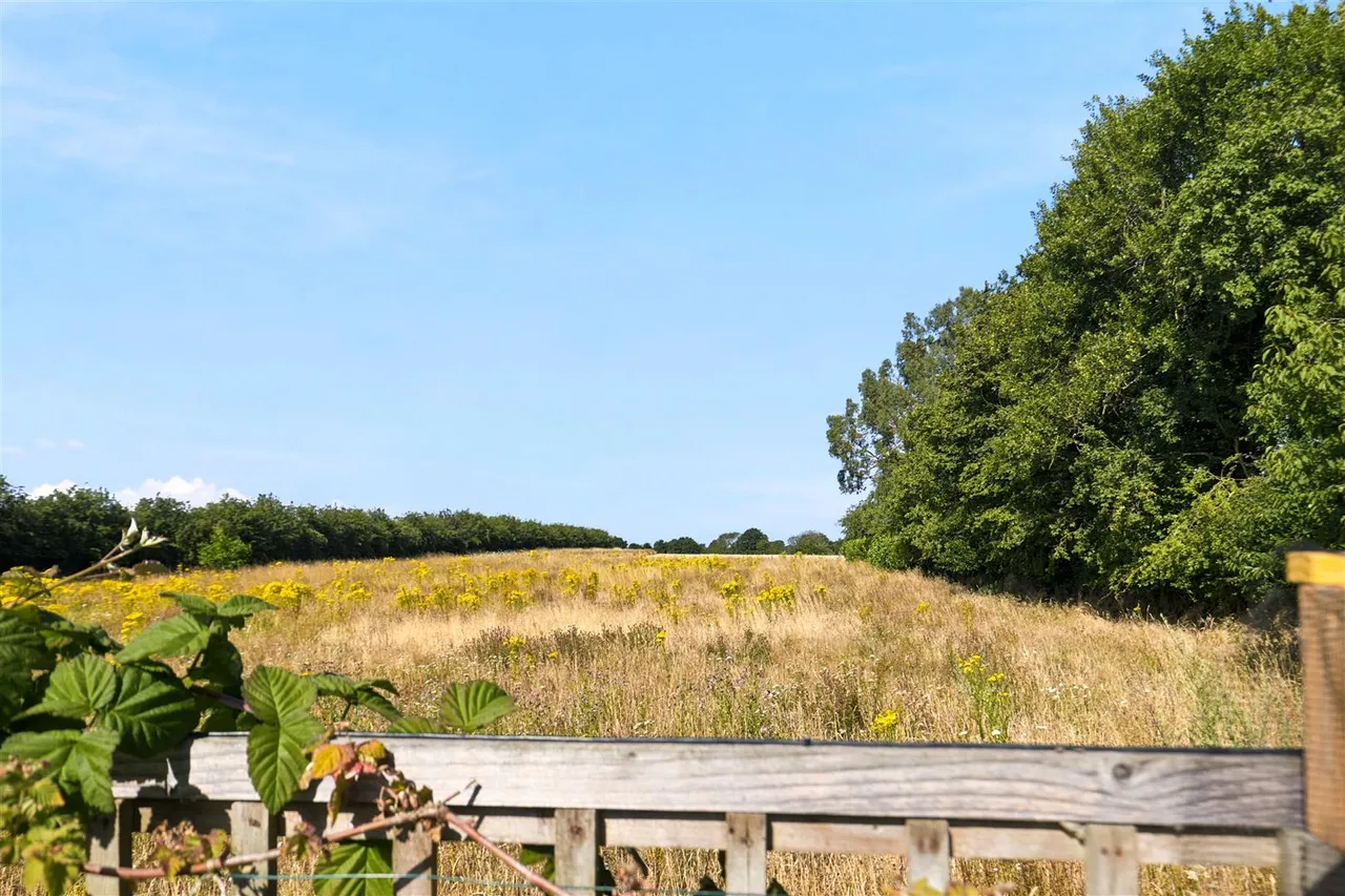 Field Lane, Hempnall, NR15, photo 27