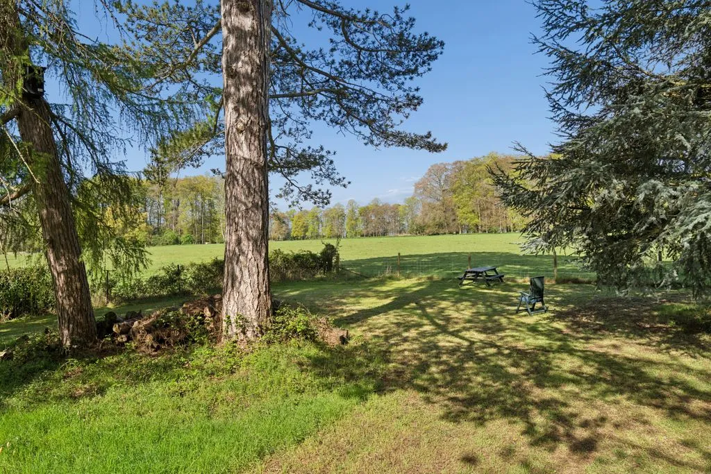 Beechwood Drive, Marlow SL7 2DH, photo 26