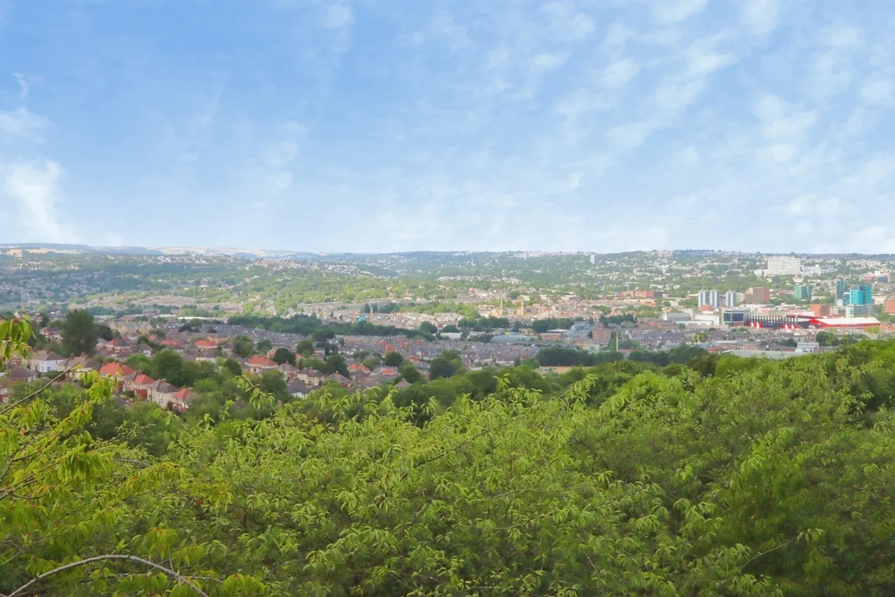 Kenninghall Road, Sheffield, S2, photo 4