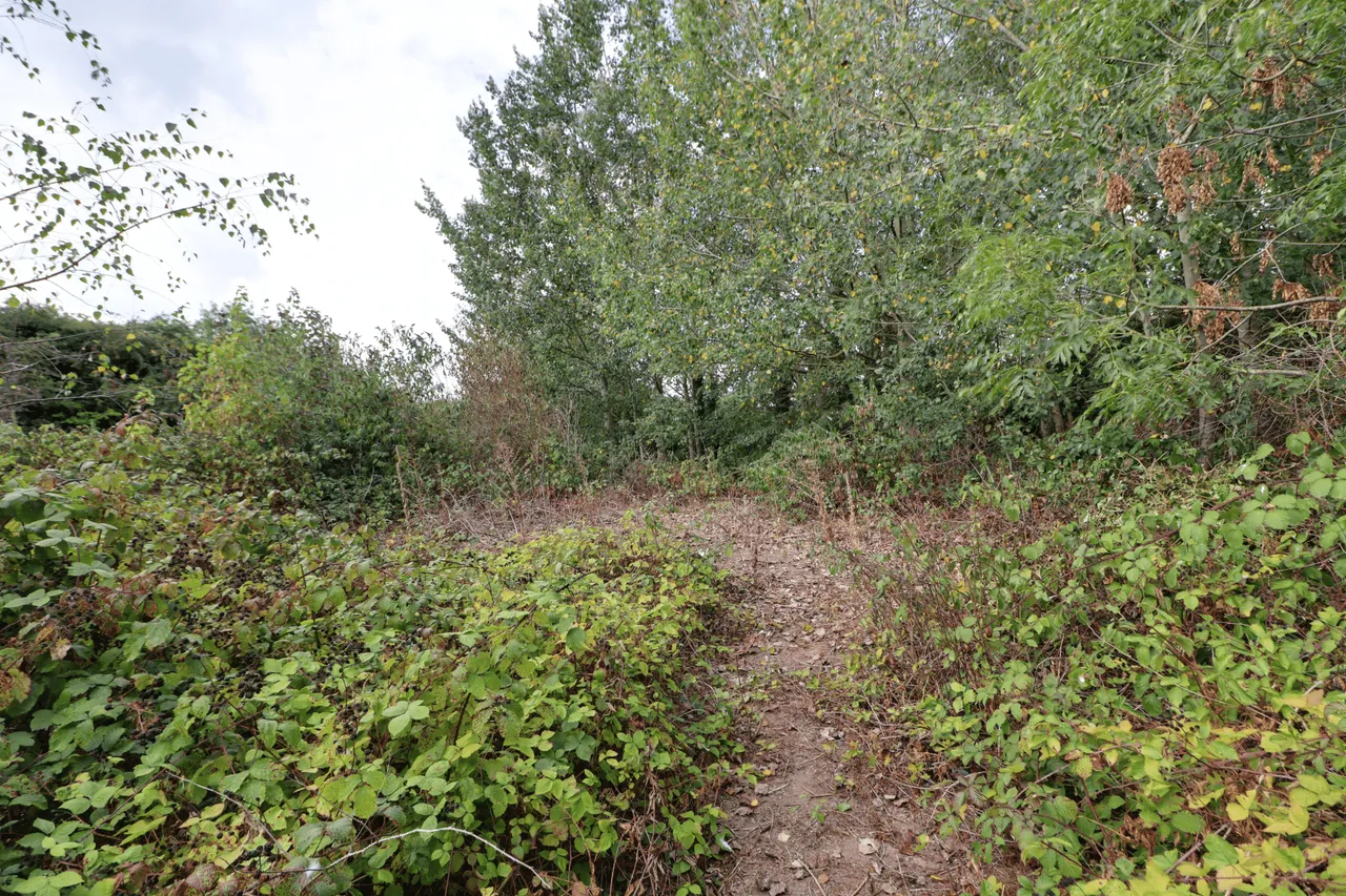 Church Street, Epworth, DN9, photo 24