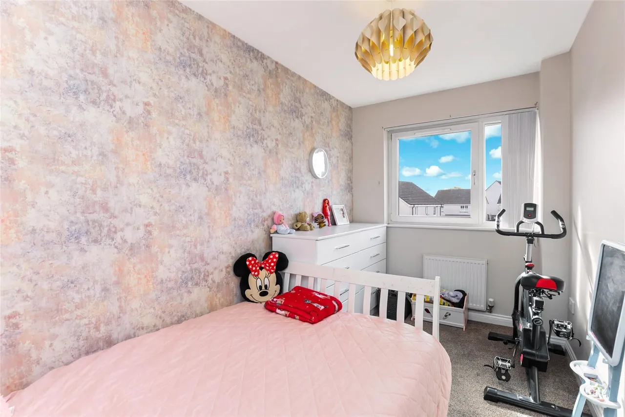 Belvidere Avenue, Parkhead, G31, photo 16