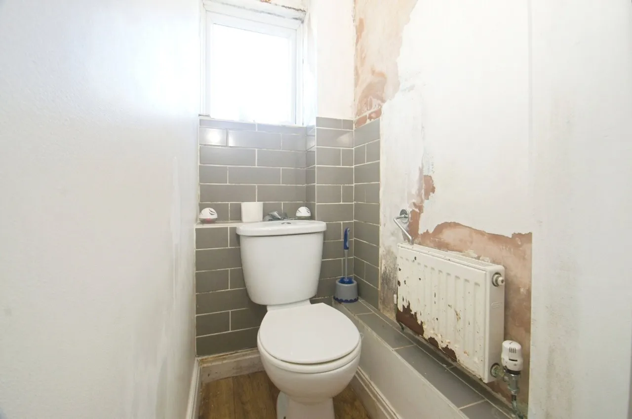Chapel Wood, Llanedeyrn, Cardiff, CF23, photo 13