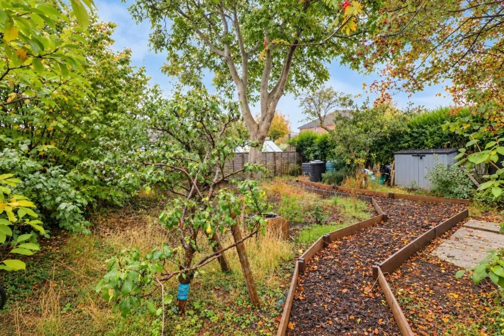 Buffins Road, Odiham, photo 21