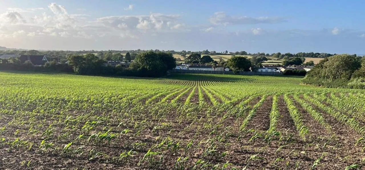 Deer Leap Farm, Knightcott, BS29, photo 7