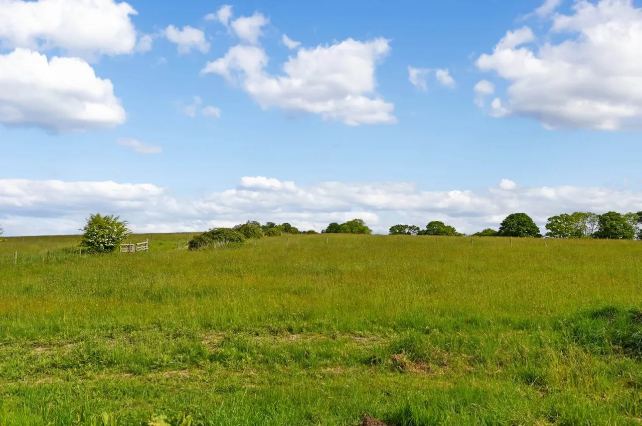Woodlands, SO40, photo 10