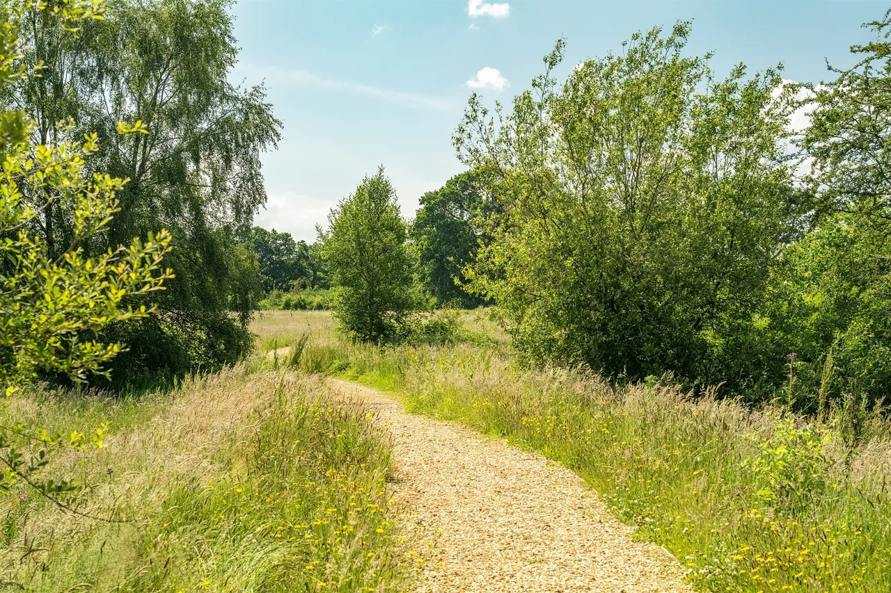 Edmondsham Road, Fordingbridge, BH31, photo 8