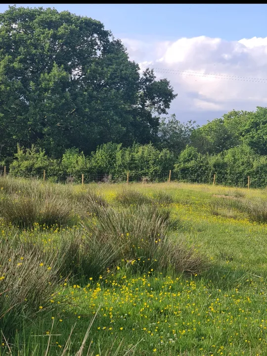Land at Palace Lane, Newby Bridge, Ulverston, Cumbria, LA12 8NQ, photo 6
