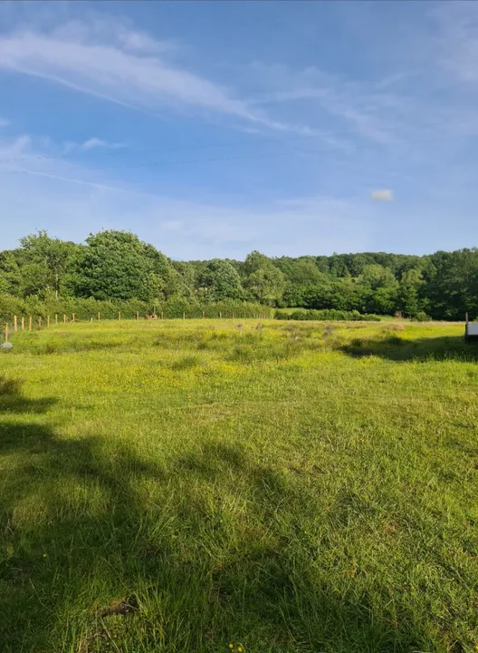 Land at Palace Lane, Newby Bridge, Ulverston, Cumbria, LA12 8NQ, photo 4