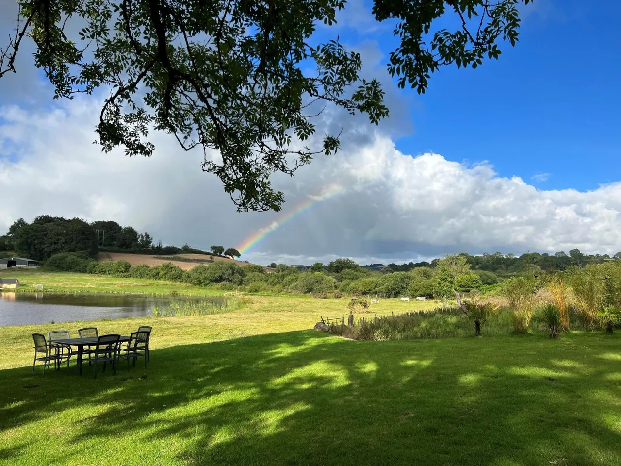 Tynreithyn, Tregaron, SY25, photo 61