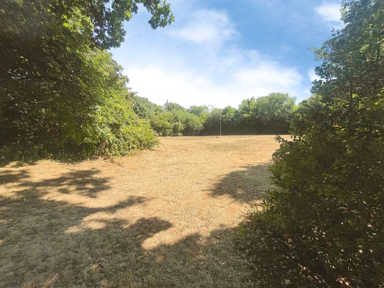 Skippetts Gardens, Basingstoke, Hampshire, RG21 3FB, photo 10
