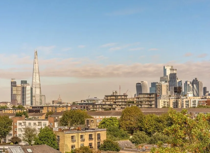 Alexis Street, Bermondsey, SE16, photo 9