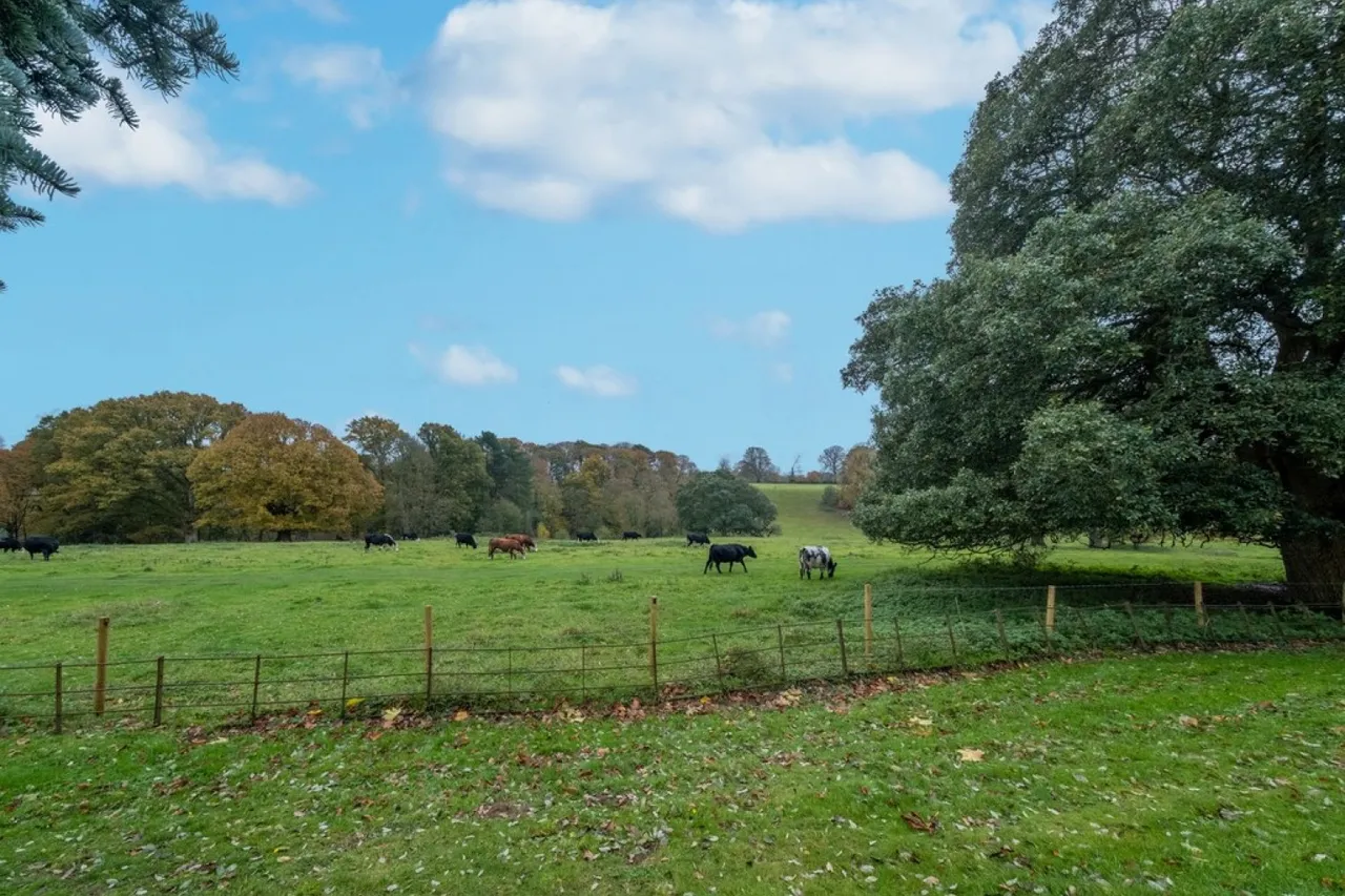 Aldon House, Yeovil, BA20, photo 22