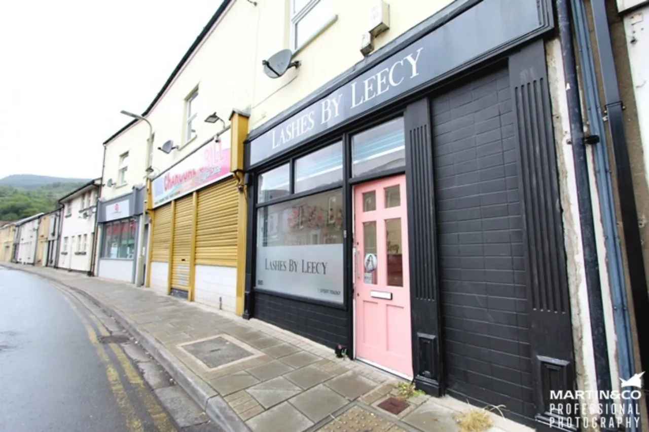 Bridge Street, Troedyrhiw, CF48, photo 3