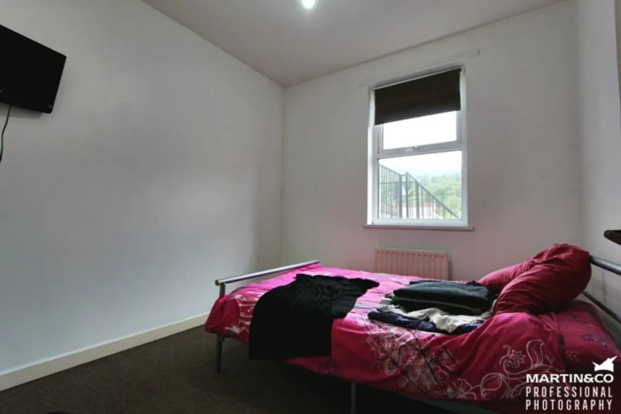 Bridge Street, Troedyrhiw, CF48, photo 16