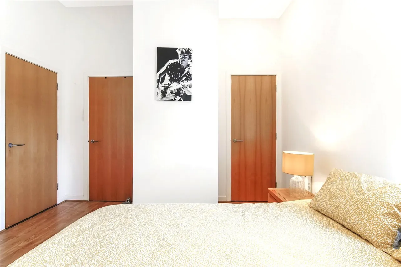 Albion Street, Glasgow, G1, photo 15