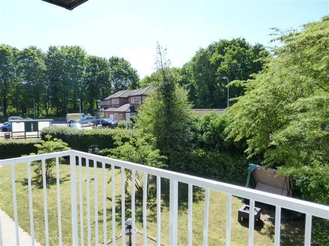 Blenheim Way, SG2, photo 10