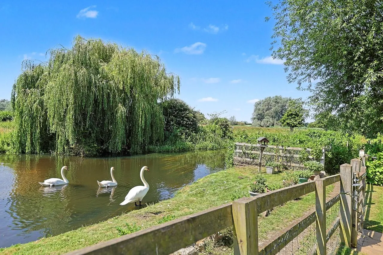 Mill Meadow, Langford, SG18, photo 37