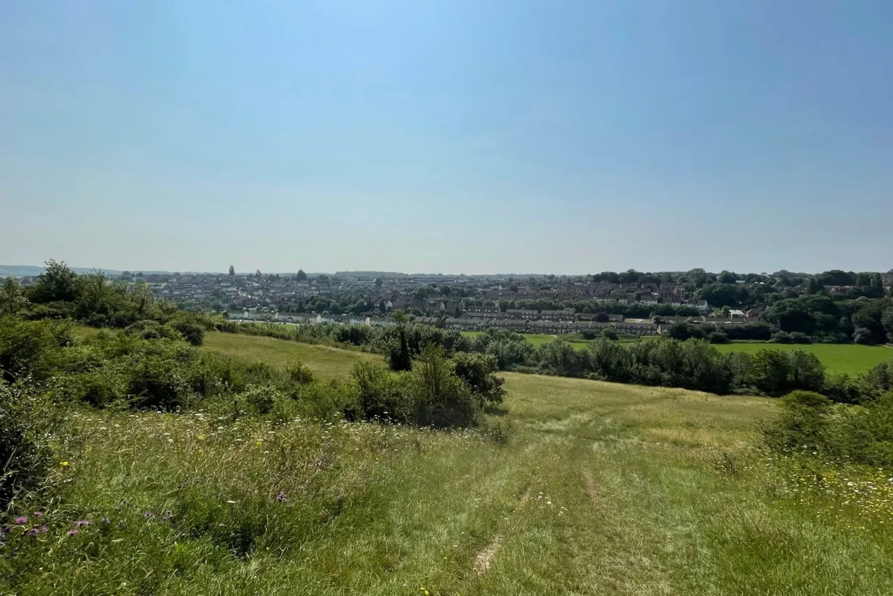 Iris Close, Walderslade Woods, ME5, photo 35