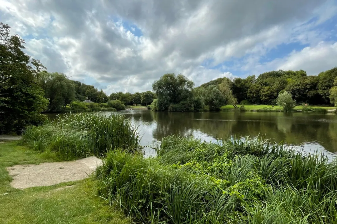 Iris Close, Walderslade Woods, ME5, photo 32