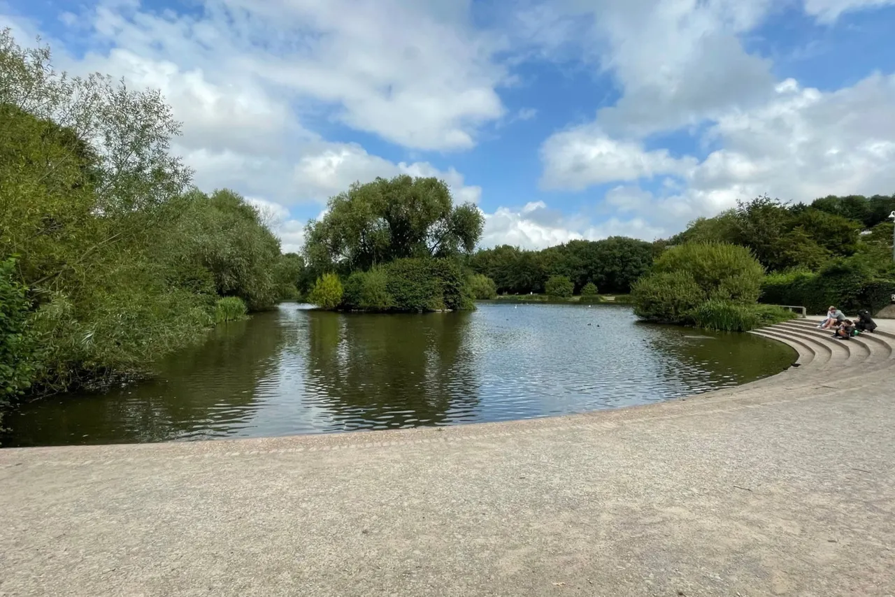 Iris Close, Walderslade Woods, ME5, photo 34