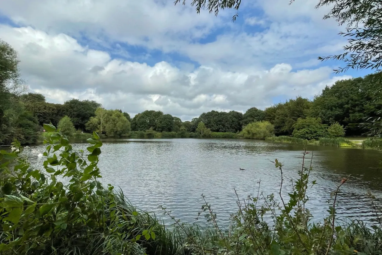 Iris Close, Walderslade Woods, ME5, photo 33