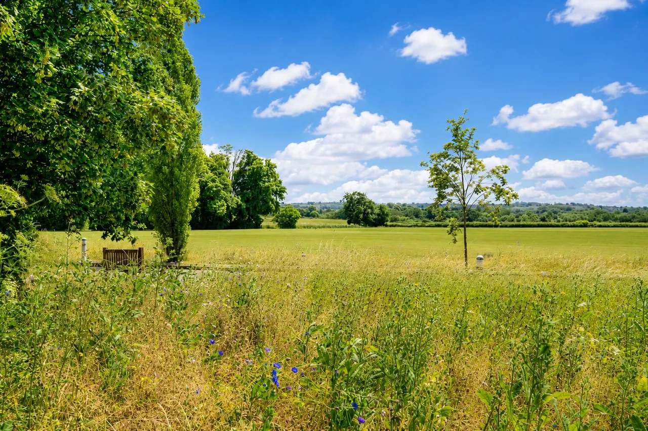 Beningfield Drive, Napsbury Park, AL2, photo 20