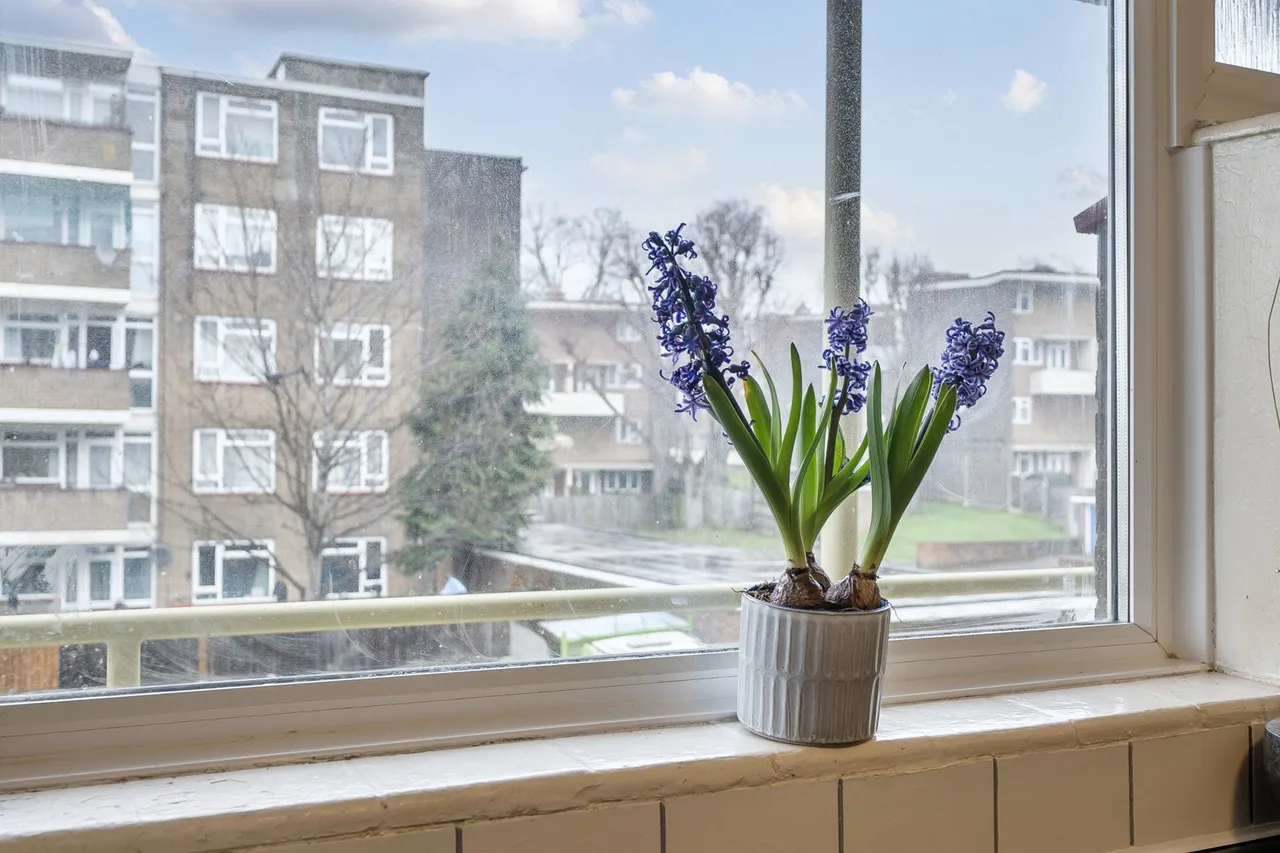 Brockley Road, SE4, photo 7