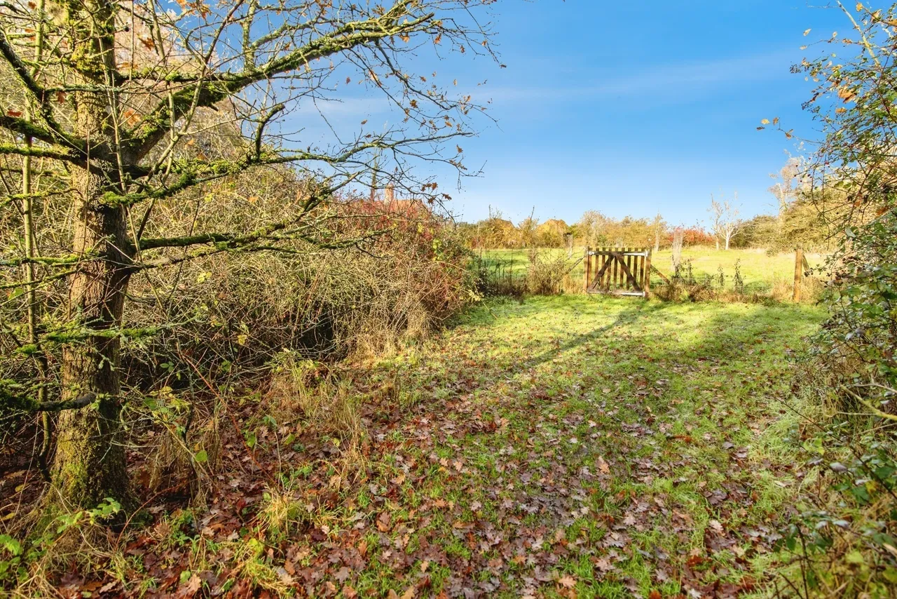 Ringsfield Common, Ringsfield, Beccles, Suffolk, NR34, photo 16